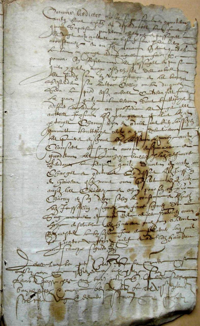 Thieurine_1589 (19).JPG